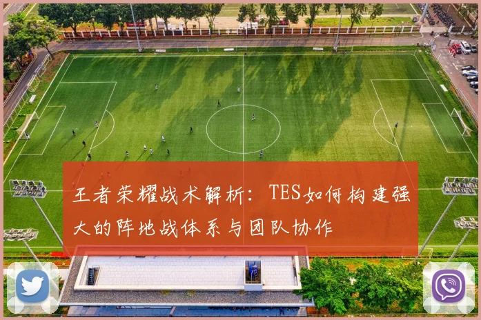 王者荣耀战术解析：TES如何构建强大的阵地战体系与团队协作
