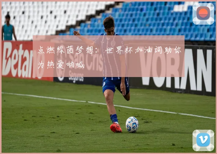 点燃绿茵梦想：世界杯加油词助你为热爱呐喊