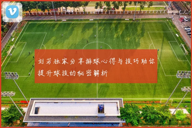 刘芳独家分享排球心得与技巧助你提升球技的秘密解析